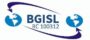 bgislinternational.com